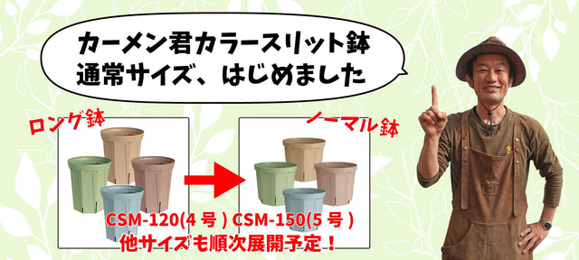 カーメン君カラースリット鉢 通常サイズ