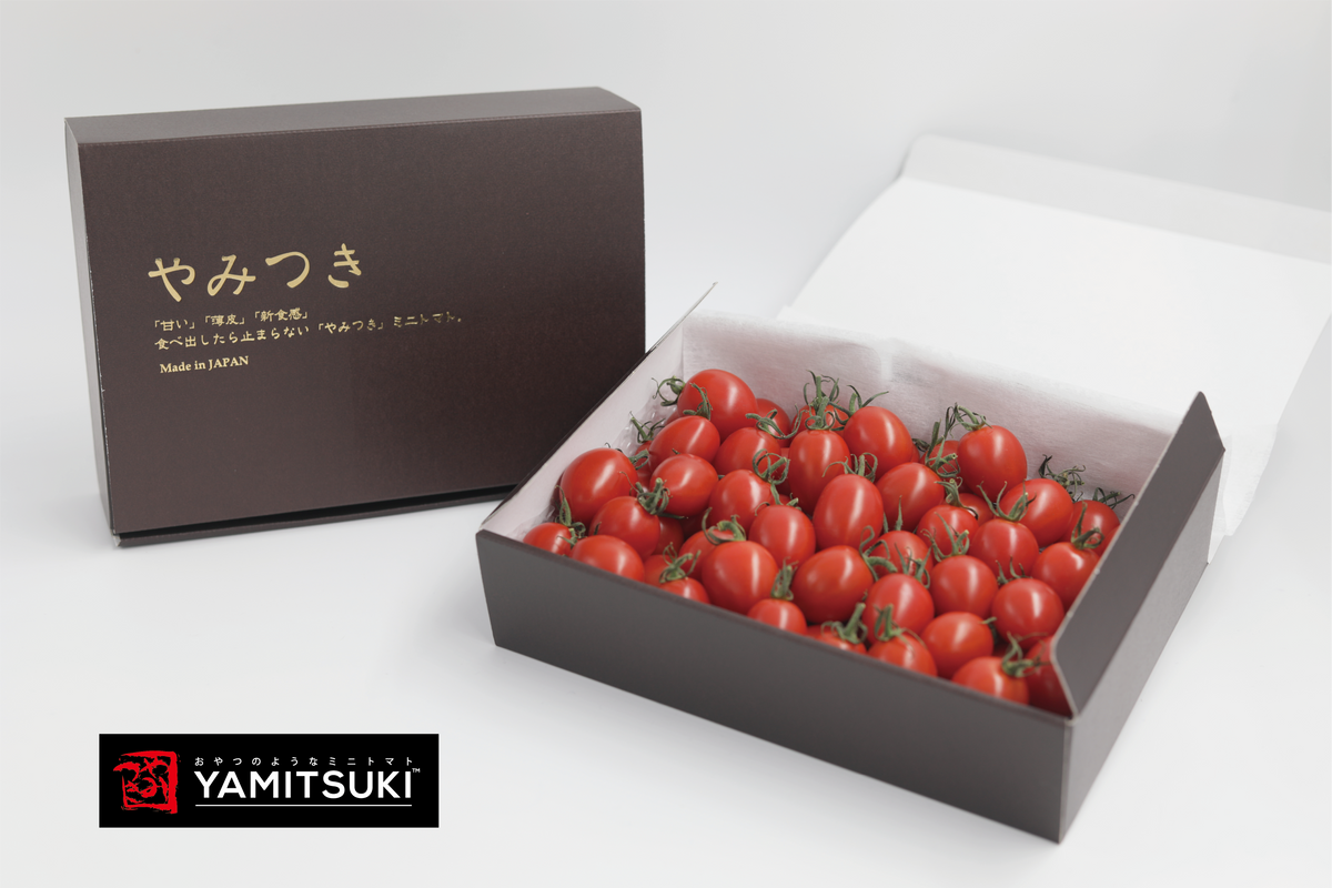 クロネコトマト様 オーダーゴミ箱完成品 クロネコトマト様 オーダーゴミ箱完成品