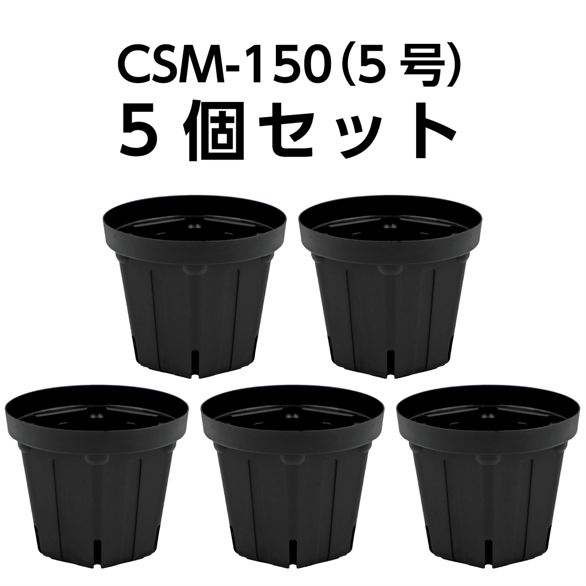 鉢2個セット】backsideworks 利休 qutotenコラボ鉢 セット 鉢2個 鉢2個セット】backsideworks 利休 qutotenコラボ鉢 セット 鉢2個