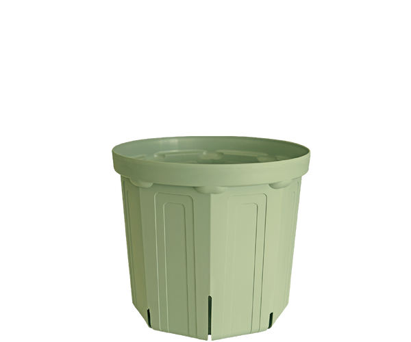 CSM-180（NEW） ライトアーミー（6号鉢）（カーメン君カラー） – KUROKO