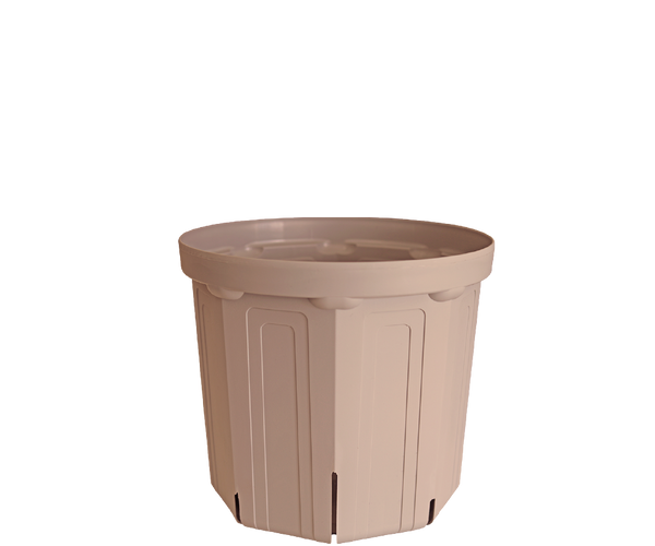 CSM-180 シェルピンク（6号鉢）（カーメン君カラー） – KUROKO