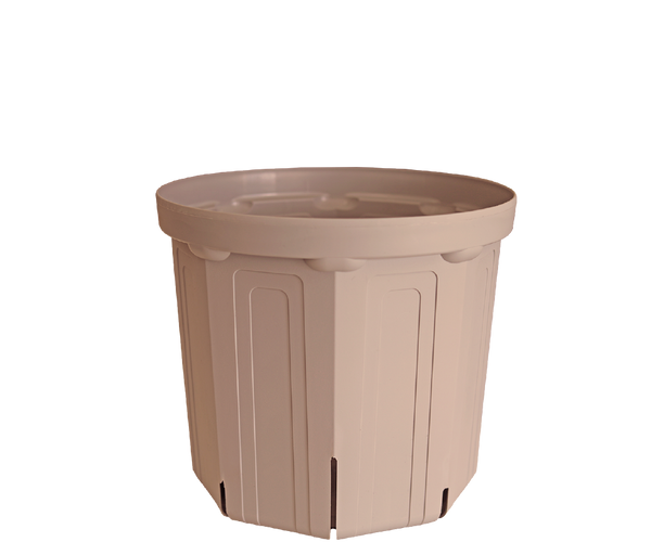 CSM-210 シェルピンク（7号鉢）（カーメン君カラー） – KUROKO