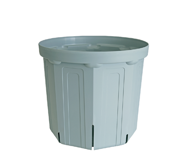 CSM-240_gray.png?crop=center&