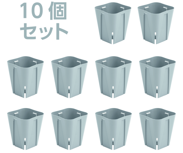 EG-7.5cm シルバーグレー 10個セット (2.5号) (カーメン君カラー) – KUROKO EG-7.5cm シルバーグレー 10個セット (2.5号) (カーメン君カラー) – KUROKO