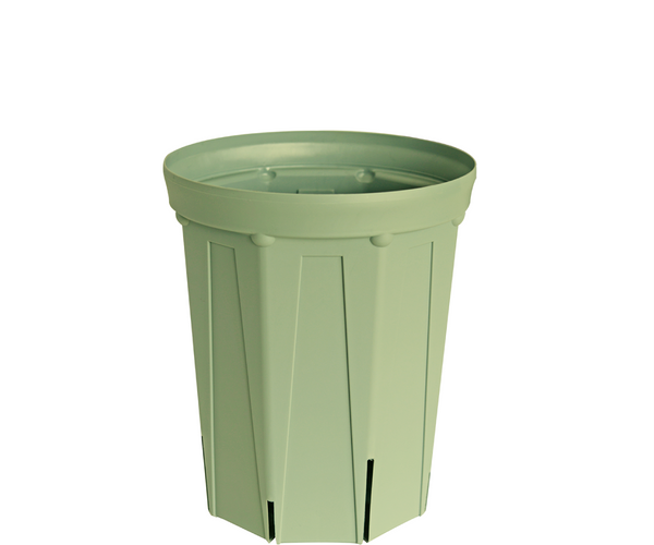 CSM-180L_green.png?crop=center