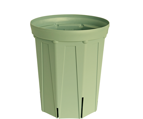 迫二郎作 金箔貼り渕ガラス鉢 オリーブグリーン 迫二郎作 金箔貼り渕 迫二郎作 金箔貼り渕ガラス鉢 オリーブグリーン 迫二郎作 金箔貼り渕