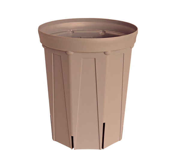 CSM-210L_pink.png?crop=center& CSM-210L_pink.png?crop=center&