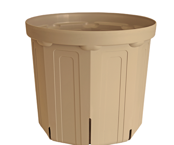 破格‼︎早い者勝ち‼︎シュガー 宝鉢 オーダー台座 破格‼︎早い者勝ち 破格‼︎早い者勝ち‼︎シュガー 宝鉢 オーダー台座 破格‼︎早い者勝ち