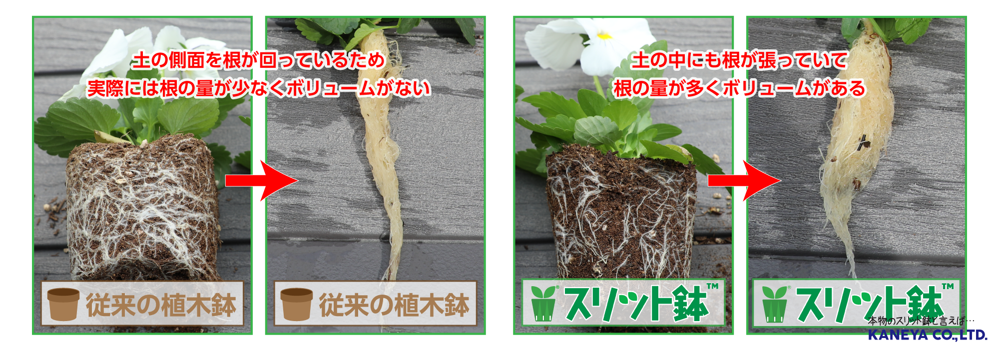 肥料・水・土の必要量が減る!