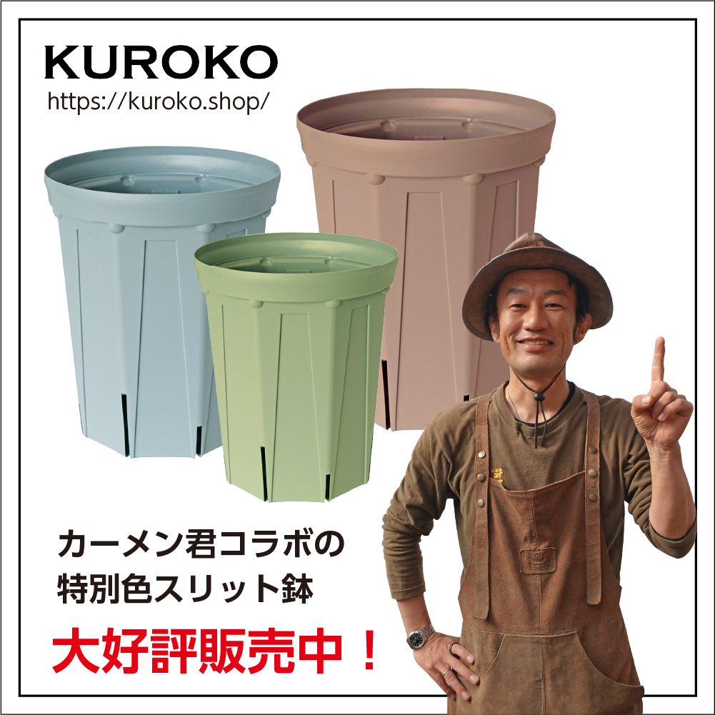 カーメン君コラボカラー特集