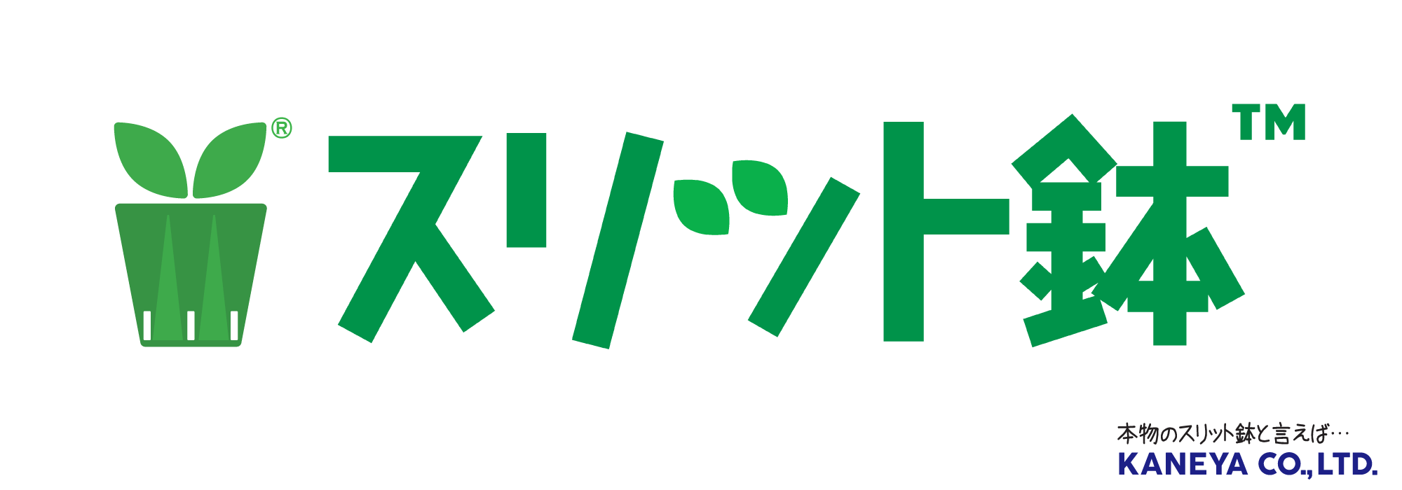 スリット鉢について製造元が解説!