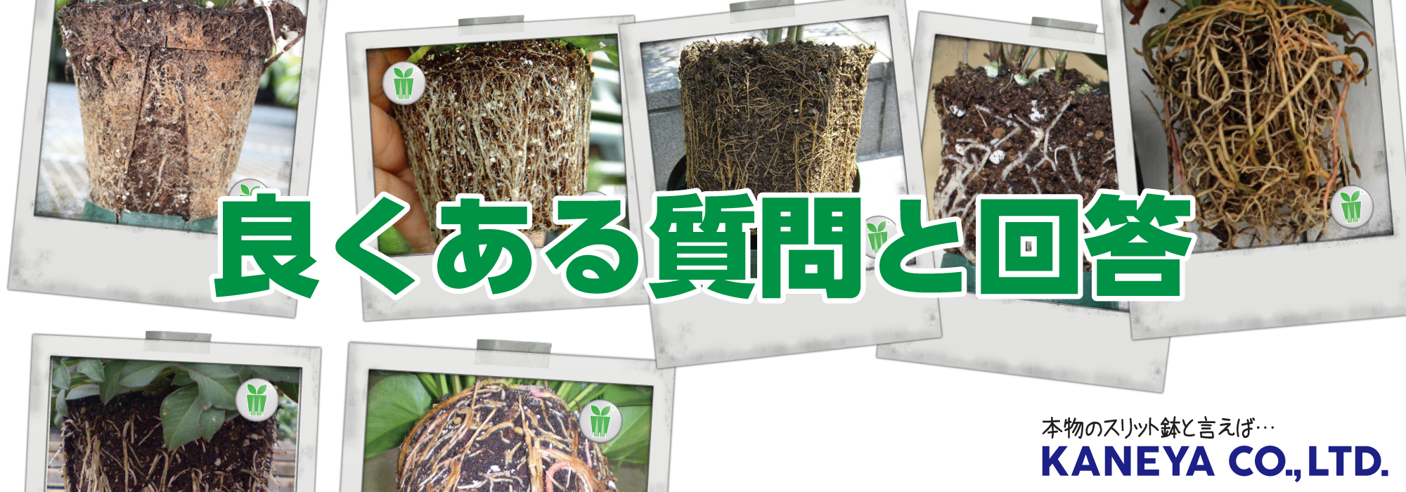 よくある質問と回答