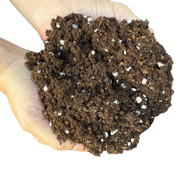 【12/27 0:00よりスタート！】MAHOUお試しキャンペーン！1袋無料！