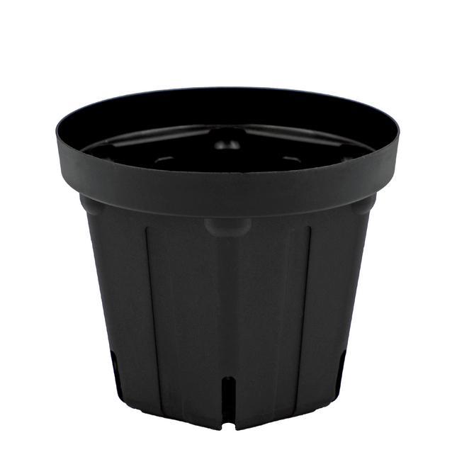 スリット鉢 CSM-150（5号） 黒 5個セット