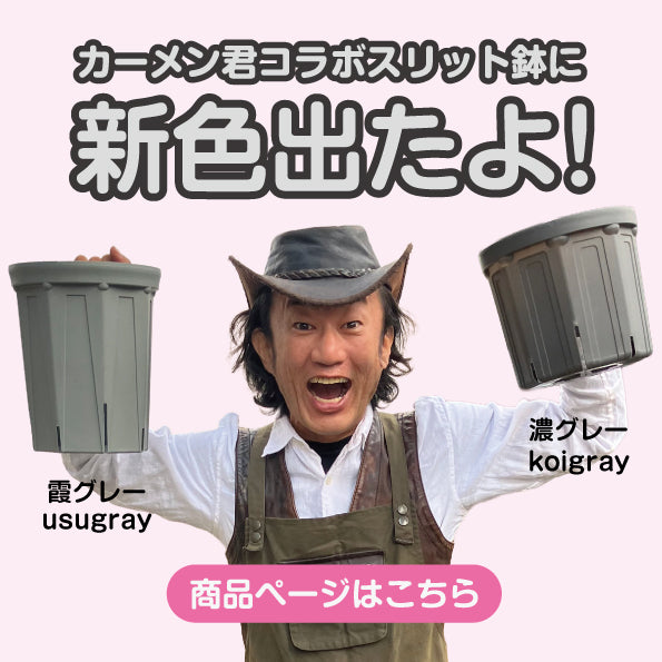 KUROKO - 【スリット鉢・やみつきトマトの兼弥産業公式通販サイト】