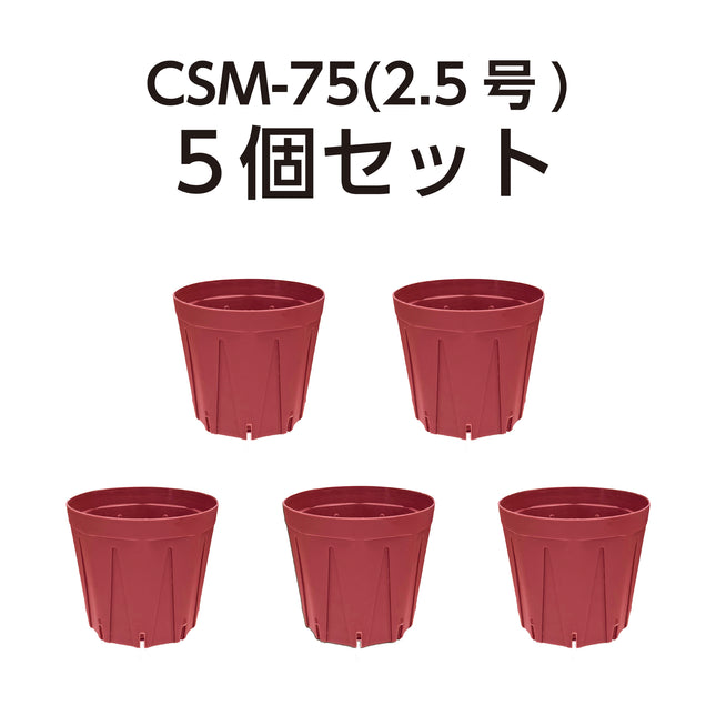 【期間限定カラー】CSM-75 ラズベリー（2.5号鉢） 5個セット スリット鉢