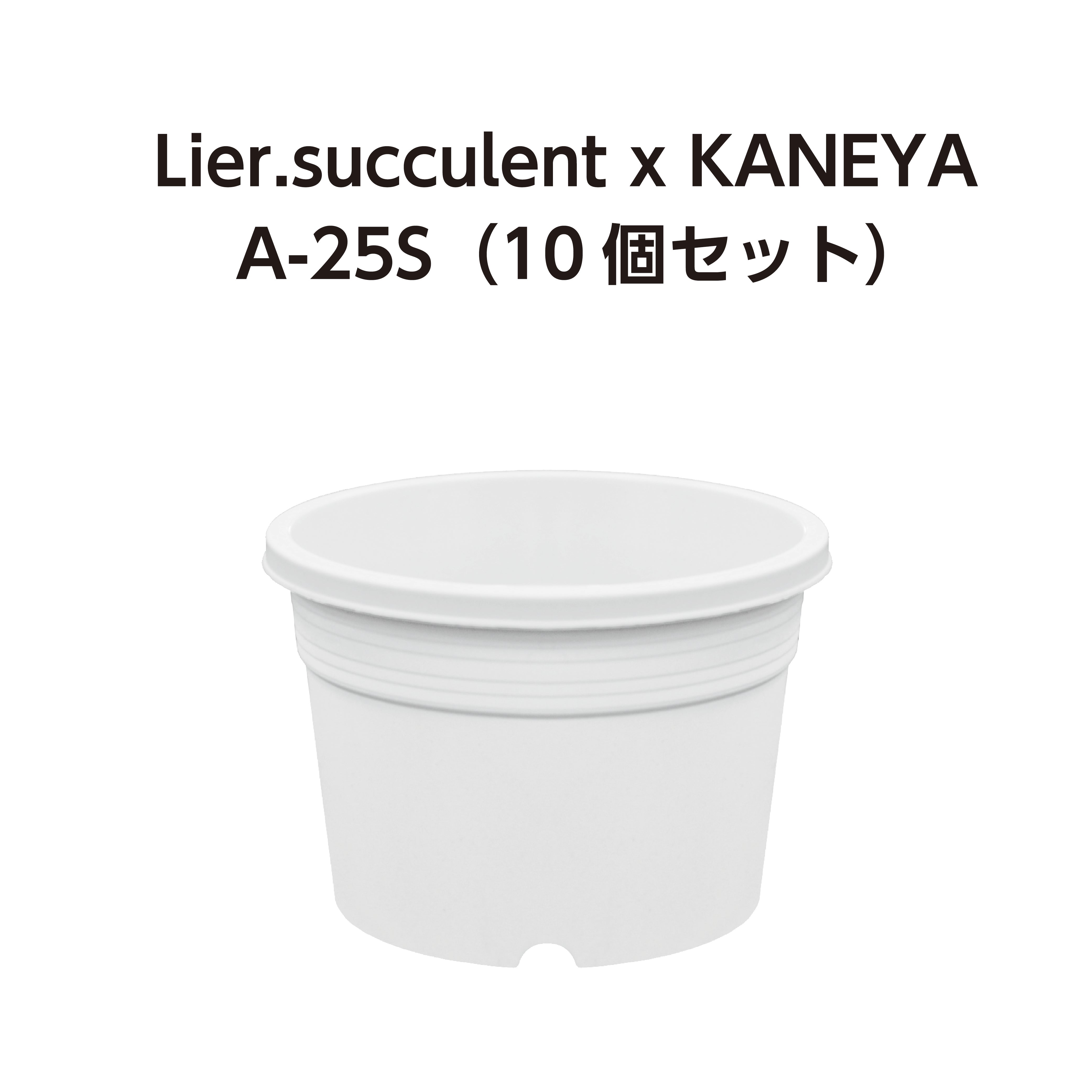 A-25S 白 10個セット  (2.5号鉢) (リエールサキュレントコラボ商品)