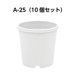 Collection image for: 2号鉢(6cm)