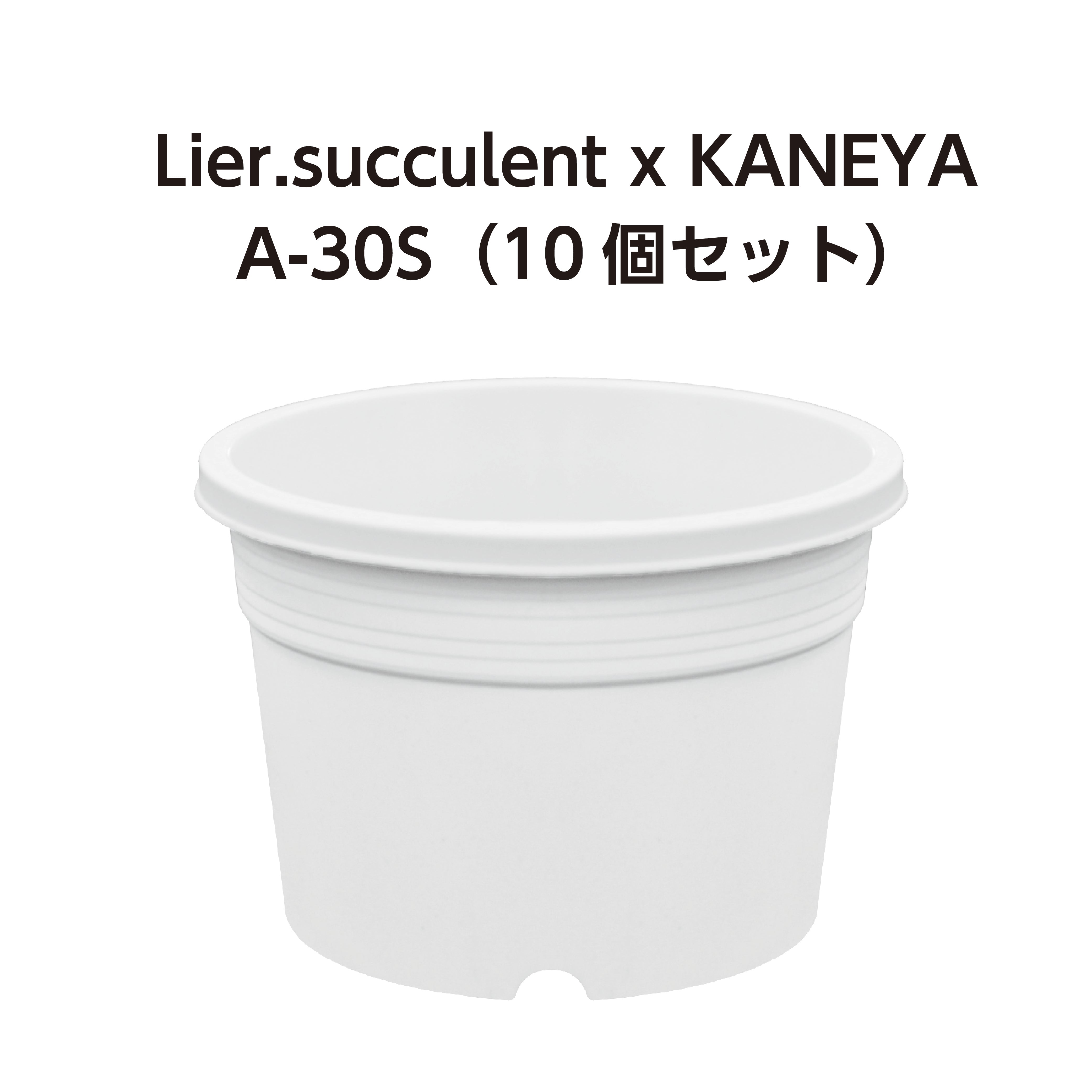 A-30S 白 10個セット  (3号鉢) (リエールサキュレントコラボ商品)