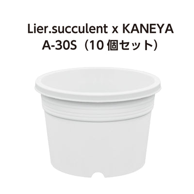 A-30S 白 10個セット  (3号鉢) (リエールサキュレントコラボ商品)