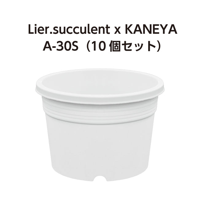 A-30S 白 10個セット  (3号鉢) (リエールサキュレントコラボ商品)