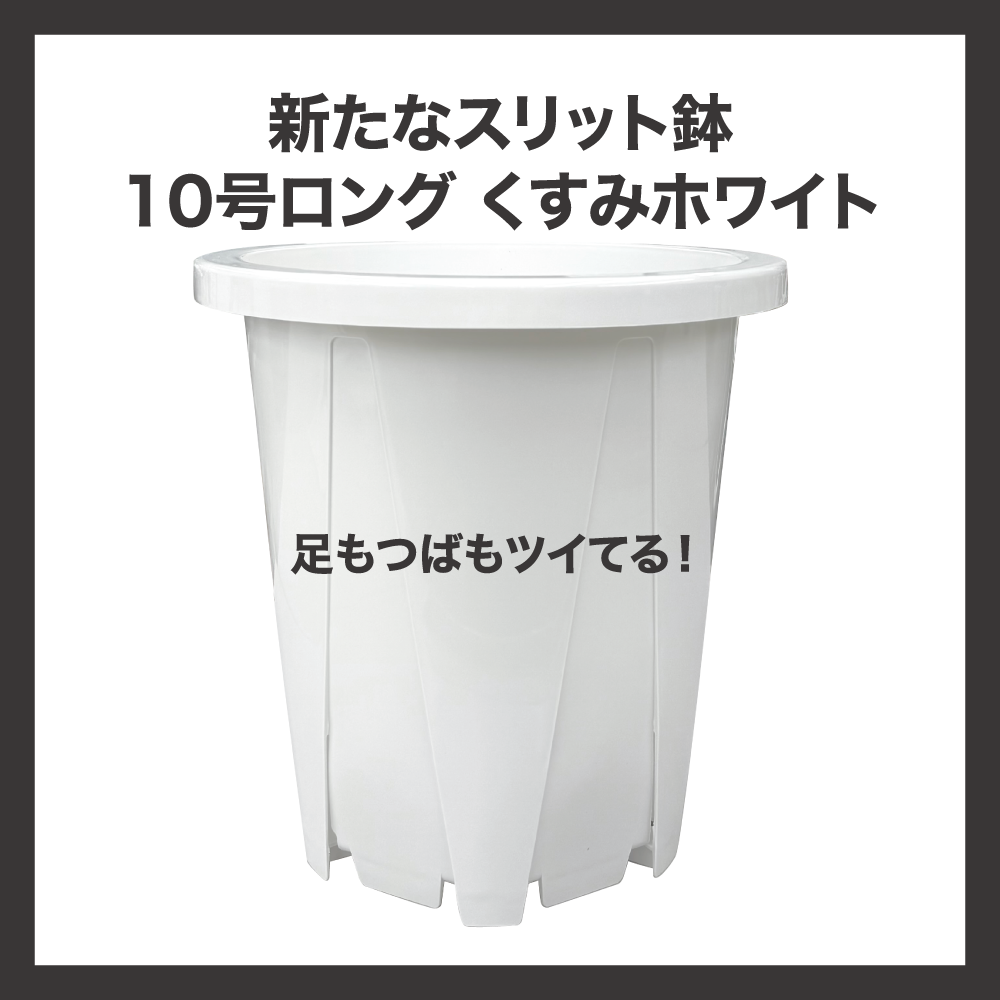 KUROKO - 【スリット鉢・やみつきトマトの兼弥産業公式通販サイト】 KUROKO - 【スリット鉢・やみつきトマトの兼弥産業公式通販サイト】