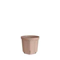Collection image for: カーメン君コラボレーション商品