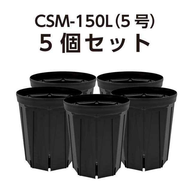 スリット鉢 CSM-150L（5号ロング） 黒 5個セット