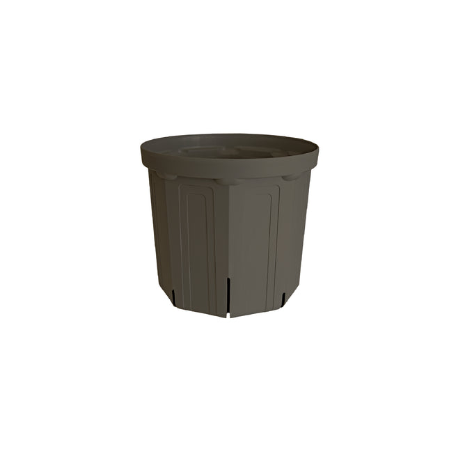 CSM-150（NEW）濃グレー koigray（5号鉢）（カーメン君カラー）