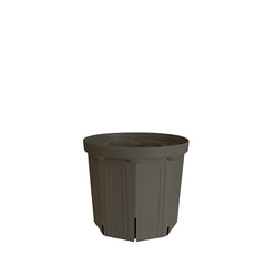 Collection image for: 5号鉢(15cm)