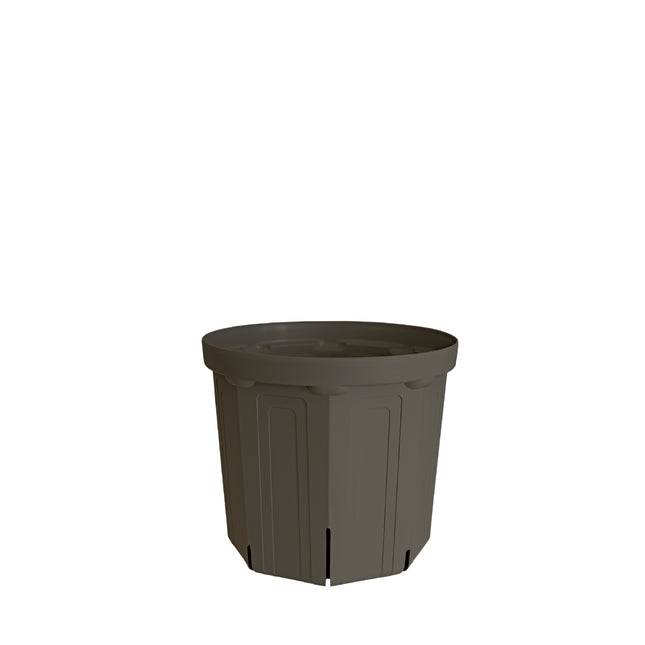 CSM-150 濃グレー koigray（5号鉢）（カーメン君カラー）