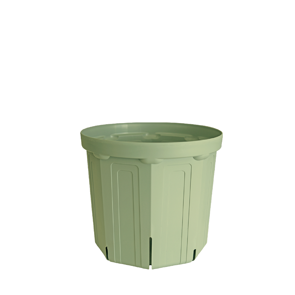 CSM-180(NEW) ライトアーミー(6号鉢)(カーメン君カラー) – KUROKO CSM-180(NEW) ライトアーミー(6号鉢)(カーメン君カラー) – KUROKO