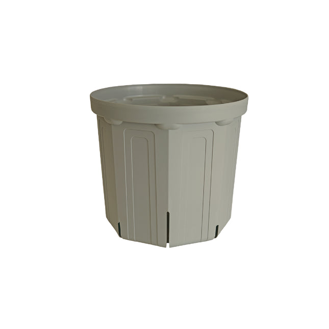 CSM-180（NEW） 霞グレー usugray（6号鉢）（カーメン君カラー）