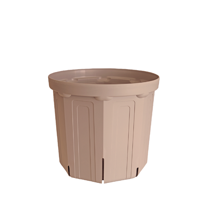 CSM-210（NEW） シェルピンク（7号鉢）（カーメン君カラー）