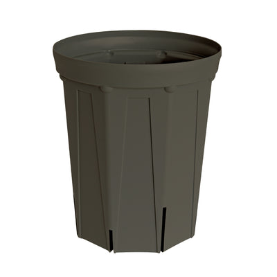 CSM-240L 濃グレーkoigray（8号ロング鉢）（カーメン君カラー）