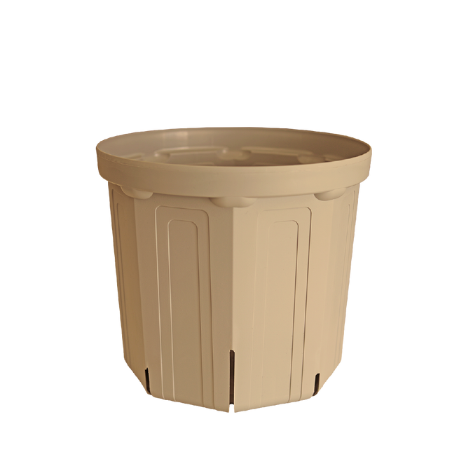 CSM-240（NEW） ベージュオークル（8号鉢）（カーメン君カラー）