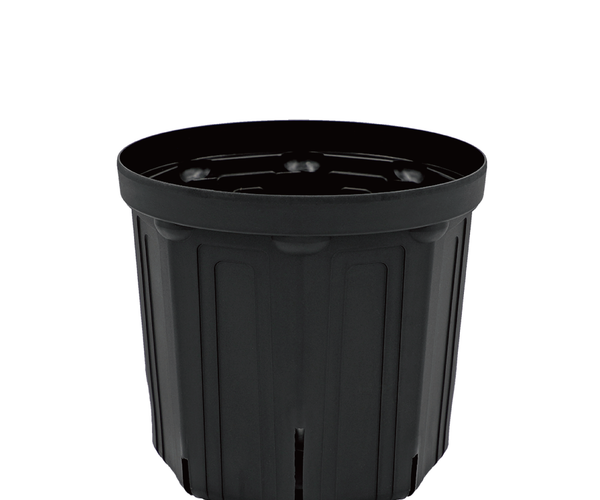 CSM-240_black.png?crop=center& CSM-240_black.png?crop=center&