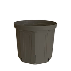 Collection image for: 8号鉢(24cm)