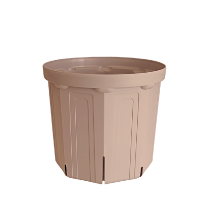 CSM-240（NEW） シェルピンク（8号鉢）（カーメン君カラー）