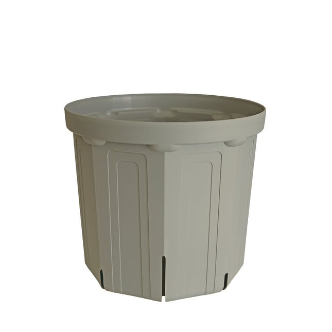 CSM-240 霞グレーusugray（8号鉢）（カーメン君カラー）