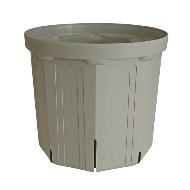 CSM-300 霞グレーusugray（10号鉢）（カーメン君カラー）