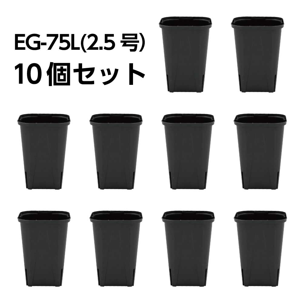 スリット鉢 EG-75L（2.5号ロング） 黒 10鉢セット