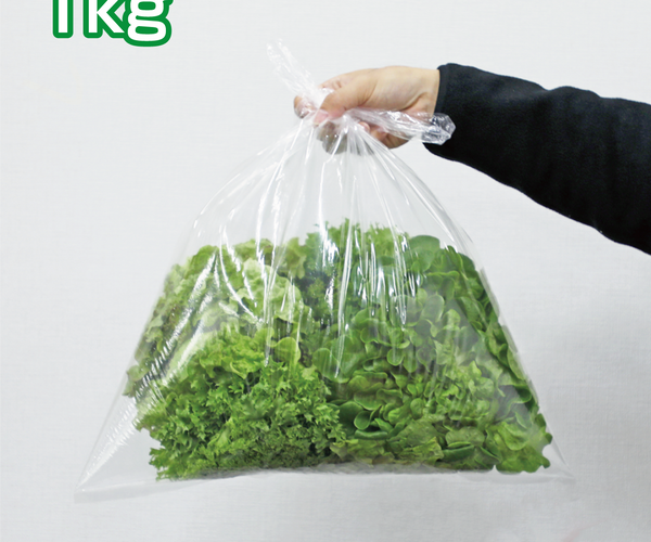 キティ 根付け 2007 夏野菜バージョン レタス Lettuce キティ 根付け 2007 夏野菜バージョン レタス Lettuce