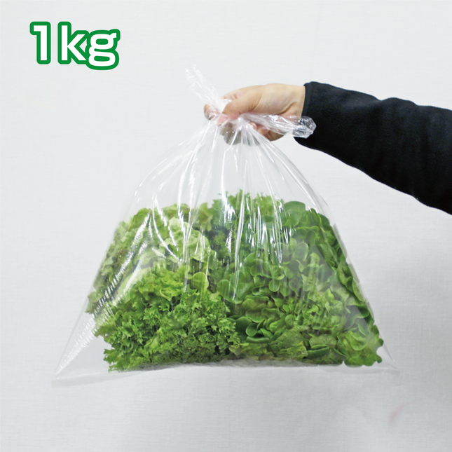 新鮮な根付きレタス3種MIX 1kg 愛知県産【朝採り当日発送】