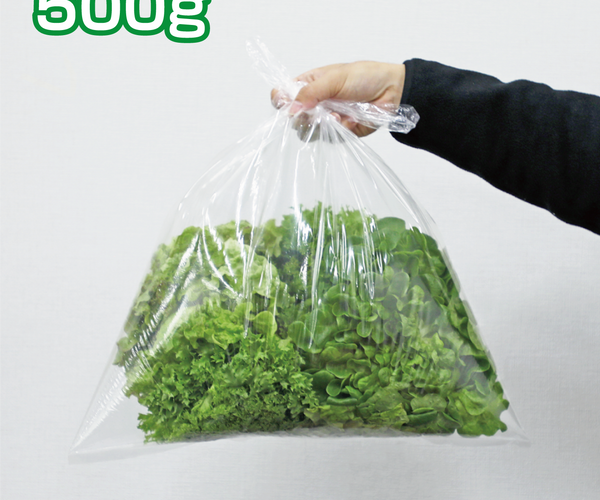 新鮮な根付き「リプラスレタス」3種MIX 500g 愛知県産【朝採り当日発送