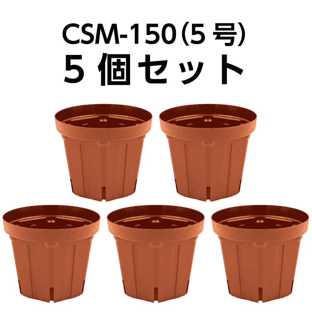 スリット鉢 CSM-150（5号） ブラウン 5個セット