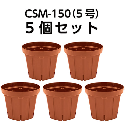 スリット鉢 CSM-150（5号） ブラウン 5個セット