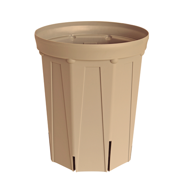CSM-240L ベージュオークル（8号鉢）（カーメン君カラー）