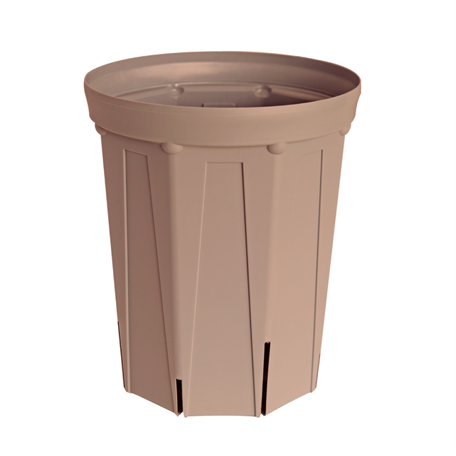 CSM-240L シェルピンク(8号ロング鉢)(カーメン君カラー)