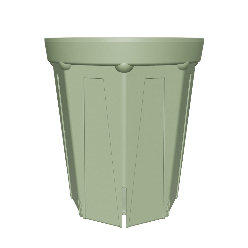 6号鉢(18cm) – KUROKO